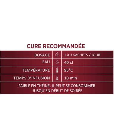 La Pagode Tea Hao Ling Organic Fair Trade Tea - Practical and Economical Format - Cholesterol Regulates - 90 Tea Infusers - Buy Online on GoSupps.com