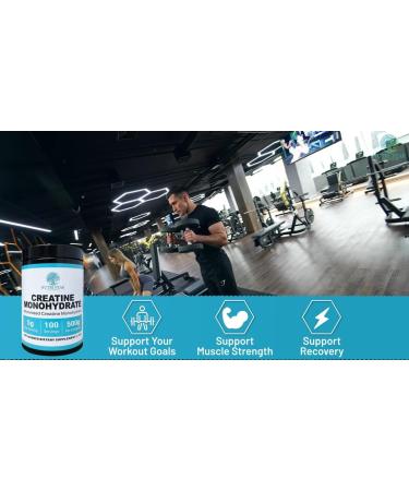 Buy Creatine Monohydrate Micronized Powder 500G - Unflavored 5000mg per Serving 100 Servings | International Shipping - Buy Online on GoSupps.com