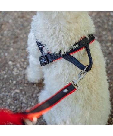 Nobby Norwegian Mesh Preno Harness - Grey Size L (38-50 cm + 36 cm) Durable Pet Gear for Optimal Comfort - International Shipping Available - Buy Online on GoSupps.com