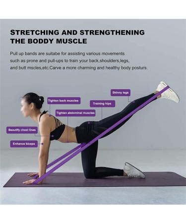 Pull Up Assistance Bands Fabric Resistance Long Strap Set Exercise Stretch Bands for Gym Work 1 der2 (D 1) - Buy Online on GoSupps.com