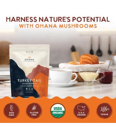 Ohana Turkey Tail Organic Mushrooms Powder Blend USDA-Organic Whole Food Mushroom Supplement Non-GMO Gluten-Free 1 lb Bag Pack of 1 Turkey Tail Powder 16 Ounce (Pack of 1) - Buy Online on GoSupps.com