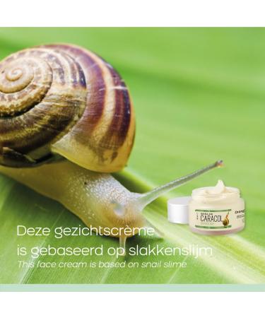 Orange Care Skin Regenerating Snail Cream - 50 ml - Buy Online on GoSupps.com