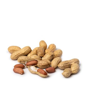 Pakka Bio Fairtrade Roasted Peanuts 2kg - Vegan Family Pack | Direct from Samarkand Farmers | Nutritious & Delicious Value Pack - Buy Online on GoSupps.com
