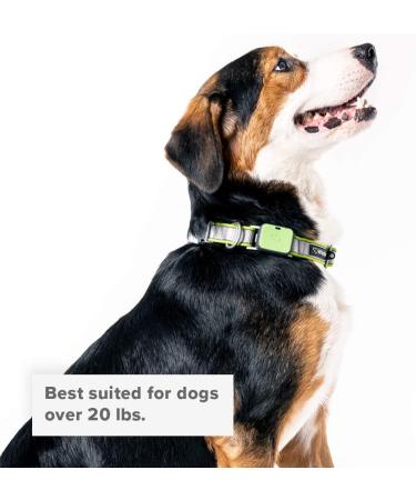 Whistle GO/GO Explore/Twist & Go Pet Collar M - Neck 16-20, Strap width 1, See Me Green - Buy Online on GoSupps.com