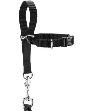 Follow Me M Black Training Harness - Premium Quality for Dogs | International Shipping Available - Buy Online on GoSupps.com