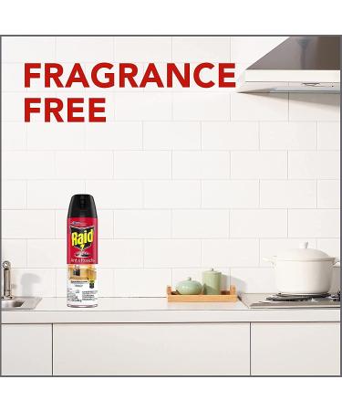 Raid Ant and Roach Killer 1.09 lb (Pack of 4) | Fragrance-Free Formula - Buy Online on GoSupps.com
