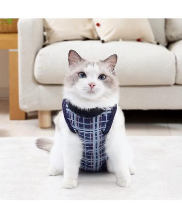 Dotoner Cat Surgery Recovery Suit for Abdominal Wounds or Skin Disorders Breathable Substitute to E-Collar  Anti-Lick Wound L Blue - Buy Online on GoSupps.com