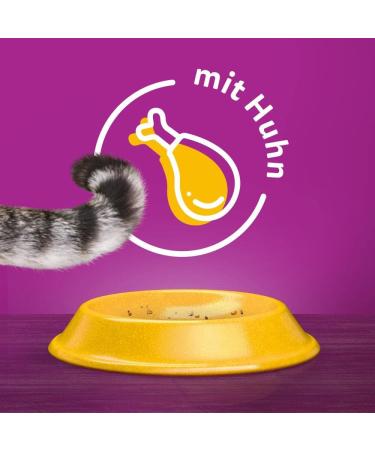 Whiskas Senior 7+ Dry Cat Food with Chicken - 5x800g Packs for Older Cats | International Shipping Available - Buy Online on GoSupps.com