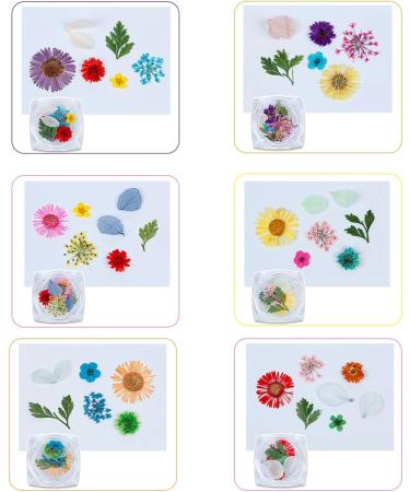 Dry Flower Nail Art Real Flowers for Nails 3D Nails Stickers with Nature Dry Flowers in Mix and Match - Buy Online on GoSupps.com