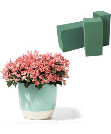 CCINEE Floral Foam Bricks - Pack of 5 Green Blocks for Flower Arrangement DIY Craft - Buy Online on GoSupps.com