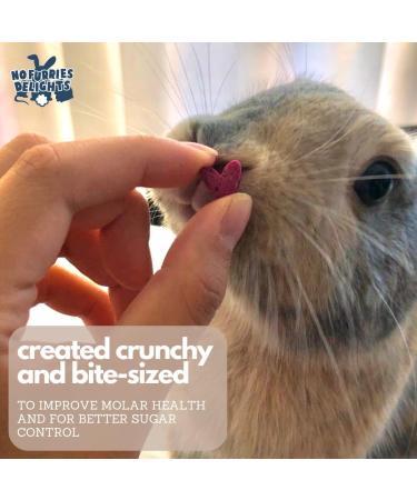 No Furries Delights Treats 100% All Natural Mini Bites for Rabbit Hamster Guinea Pig Chinchilla Pet Rat Mice Gerbil Bird Healthy Enrichment Bonding Rewarding Training (Mixed Green Bites 50g) - Buy Online on GoSupps.com