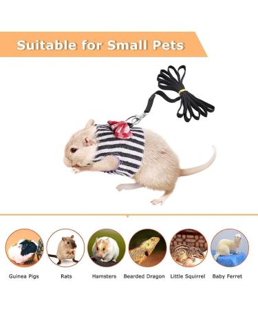 Small Animal Harness Velcro Hamster Harness and Leash Set for Walking Small Animal Chest Straps for Bunny Rabbits Ferret Guinea Pig Chinchilla Puppy Kitten Harness(S) - Buy Online on GoSupps.com