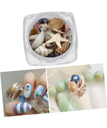 minkissy 1 Box Conch Jewelry Nail Art Decoration Nail Decorations for Nail Art Shell Decor Nail Jewelry Conch Shells Nail Decoration Nail Ornament Nail Stickers 3d False Nails - Buy Online on GoSupps.com