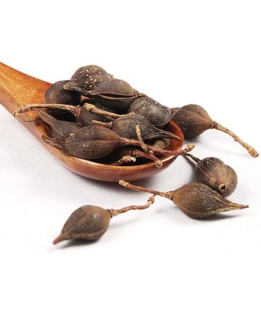 Forsythia Tea: 100% Therapeutic Grade Dried Forsythia Fruit Herb - 60g/2.11oz - Buy Online on GoSupps.com