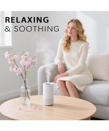 Peach Essential Oil 16 Fl Oz and Cherry Blossom Essential Oil 16 Fl Oz for Diffuser Humidifier Yoga Cleaning DIY Candle Soap Making Perfume Gift for Essential Oils - Buy Online on GoSupps.com