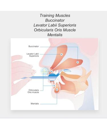 4-Piece Tongue Muscle Trainer Set | Portable Mouth & Lip Exercise Tools for Dysarthria & Articulation Disorders | Improve Speech & Relaxation - Buy Online on GoSupps.com