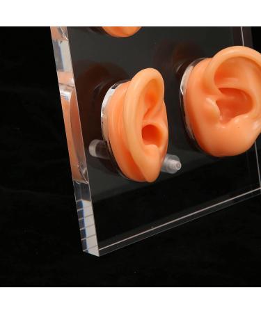 Ear Display Mold Human Ear Model Real Skin Feeling Reusable Waterproof Soft For Store Showcase For Doctor Otolaryngologists For Ear Dispensers - Buy Online on GoSupps.com