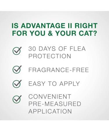 Advantage II Flea Prevention for Large Cats - 6 Doses, 6 Months Supply - 2 Pack Bundle - Buy Online on GoSupps.com