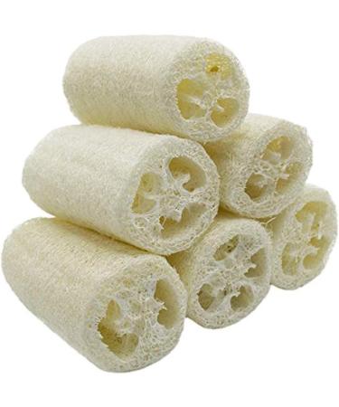 6 Pieces Natural Luffa Sponge Set | Exfoliate Dead Skin Ideal for Bath Shower & Kitchen Scrub | Eco-Friendly Personal Care & Decoration - Buy Online on GoSupps.com