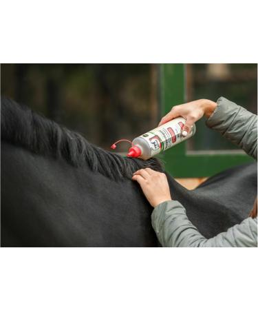 RL24 LeoVet Mane Liquid for Horses | Dandruff Control & Itch Relief | 2 x 500 ml Horse Care Set - Buy Online on GoSupps.com