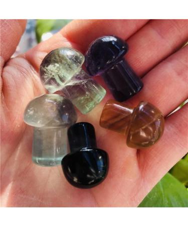 Natural Crystal Rough Natural Rainbow Fluorite Mushroom Quartz Hand Carvedgem DecorationStones (Size : 2cm 3pc) (Size : 2cm 1pc) - Buy Online on GoSupps.com