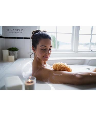 Medium Unbleached Honeycomb Natural Sea Sponge - 100% Natural Organic Durable Hypoallergenic - Bath Shower Exfoliating for Adults & Kids - 14.5 cm - Buy Online on GoSupps.com