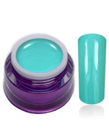 Color Gel Mentholy Light Blue Turquoise UV LED Nail Gel Studio Quality Color Gel RM Beautynails 1 Pack (1x 5ml)