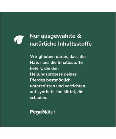 PegaNatur Shiny Intense - Gently cleans even stubborn dirt. - Buy Online on GoSupps.com