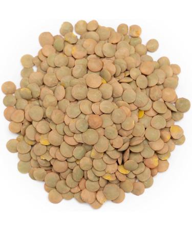 Forest Whole Foods Organic Green Lentils 5 kg - Buy Online on GoSupps.com