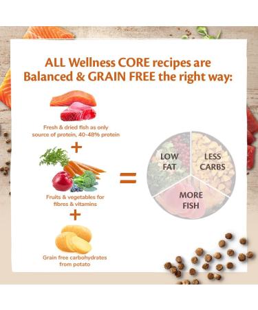 Wellness CORE Adult Ocean 300g Salmon & Tuna Dry Cat Food for All Cats Grain-Free High Fish Content Protein-Rich Supports Healthy Skin & Shiny Coat Ocean - Salmon & Tuna 300g - Buy Online on GoSupps.com