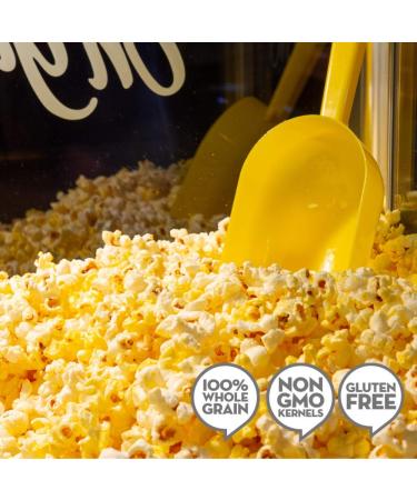 JOLLY TIME All-in-One Popcorn Kit - 24 Pack 6oz Kettle | Movie Theater & Air Popper Ready - Buy Online on GoSupps.com