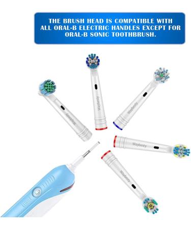 Oral b Barun Electric Toothbrush Replacement Brush Heads - Dupont Bristles with Precision Floss Cross 3D Clean - Compatible with Oral-B 7000/Pro 1000/9600/5000/3000/8000 - Buy Online on GoSupps.com
