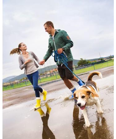 (2 Pack) 30FT Long Dog Leash for Dog Training Check Cord Recall Training Agility Lead for Large Medium Small Dogs Rope Leashes Great for Playing Camping or Backyard 30FT Gray & Blue - Buy Online on GoSupps.com