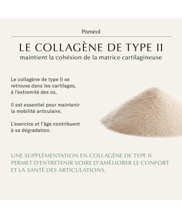 POMEOL Strong Joint Food Supplement | Joint Discomfort Mobility and Flexibility - OsteoPulse | 60 days | Boswellia Collagen Bamboo Zinc Magnesium Vitamin D3 - Buy Online on GoSupps.com