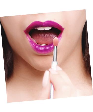 Healeved 16 Pcs Silicone Lip Brush Lip Gloss Brush Lip Scrubber Eye Shadow Makeup Lipstick Eyeshadow Brush Pp - Buy Online on GoSupps.com