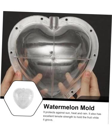 Gadpiparty Vegetables Fruit Growing Heart Mould Watermelon Grow Mold Cooking Utensils Modeling Ginseng Fruit 17x17cm Transparent - Buy Online on GoSupps.com