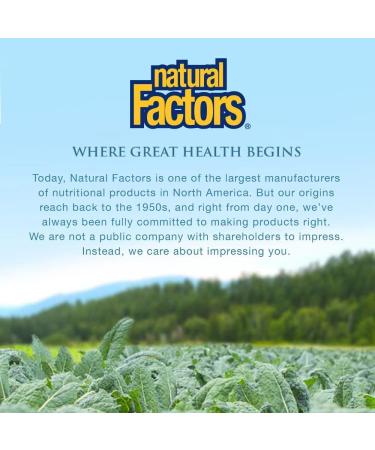 Natural Factors L-Tyrosine 500mg | 60 Vegetarian Capsules - Boost Mood & Focus - Buy Online on GoSupps.com