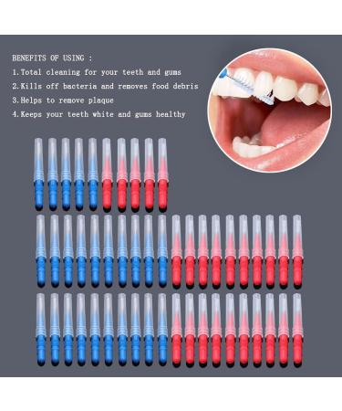 100-Piece Interdental Brush Toothpick Flossing Head Set for Oral Hygiene | Dental Floss Stick Cleaner Tool - Buy Online on GoSupps.com