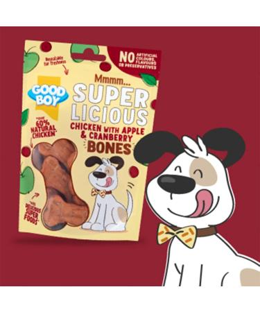 Good Boy Superlicious Chicken Apple & Cranberry Bones - Natural Dog Treats - Low Fat Training Treats - Bulk Box - 10 x 100g Chicken Apple Cranberry 100 g (Pack of 10) - Buy Online on GoSupps.com