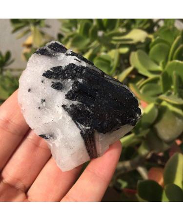 Natural Crystal Rough Natural Black Tourmaline with Quartz raw Crystals Natural Stones and Minerals Rough Black Tourmaline Specimen Reiki Stones - Buy Online on GoSupps.com