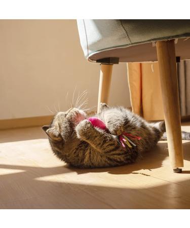 5Pcs Catnip Toy Set - Interactive Pink Fish & Feather Teaser for Kittens | Catnip Filled Plush Toys for Teething Chew Cat Wand Accessories - Buy Online on GoSupps.com