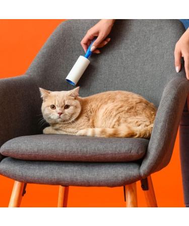SPICOM Lint Roller 5 Sticky Replacement Heads with 1 Handle Total 300 Easy Peel Sheets Quickly Removes Animal Fur Cat & Dog Hair Dust & Fluff from Clothes Furniture Carpet (5 Pack / 300 Sheets) - Buy Online on GoSupps.com