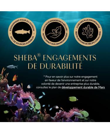 Sheba Perfect Portions for adult cats Trays Wet food Luxury salmon terrine 6x37 PACK OF 8 - Buy Online on GoSupps.com