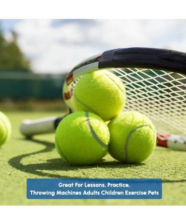 ACCURATE Durable Sport Play Tennis Cricket Dog Toy Ball with Mesh Carrying Bag Sturdy & Durable Great For Lessons Practice Throwing Machines Adults Children Exercise Pets 3 PK - Buy Online on GoSupps.com