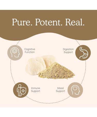 Organic Lion's Mane Capsules - 60 Count | Boost Memory & Immunity | Gluten Free Dietary Supplement - Buy Online on GoSupps.com