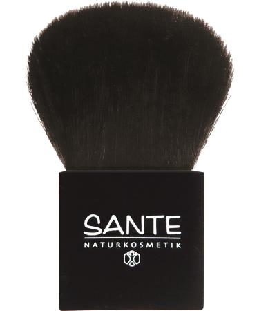 Sante Powder Brush 0.05 Ounce