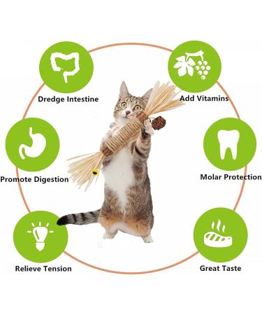 Tuibeidamai Matatabi Catnip Sticks Set - 4pcs Cat Teeth Cleaning Toys for Biting Chewing & Play - Buy Online on GoSupps.com