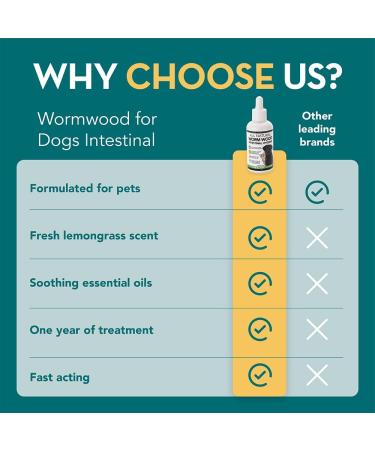 The Healthy Dog Co - Natural Wormwood for Dog Worming Support - Cat Worming Support - Intestinal Support - Maintains Intestinal Health for Cats and Dogs - Drip on food - 100 ml (1-2 Year Supply) - Buy Online on GoSupps.com