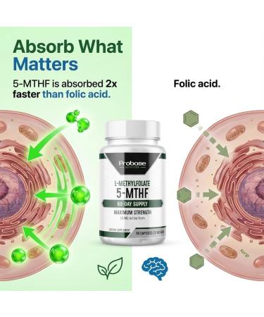 Probase Nutrition Professional Strength L-Methyl Folate 15mg - Active 5-MTHF Form - Supports Mood Methylation Cognition - Bioavailable Vitamin B9 (60 Capsules) - Vegan Non-GMO Gluten-Free - Buy Online on GoSupps.com
