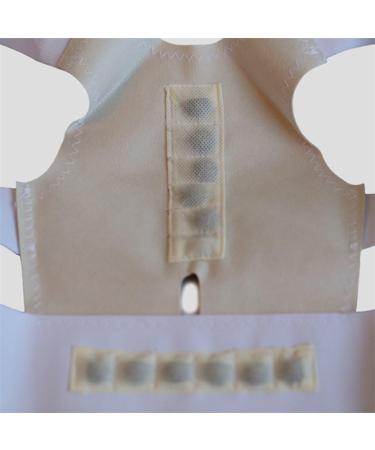 12 Magnets Back Support Belt & Posture Corrector for Men Women & Children - Unisex White Brace (S 28.74-29.13 - Buy Online on GoSupps.com